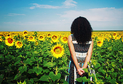 小黑ddos压力测试平台